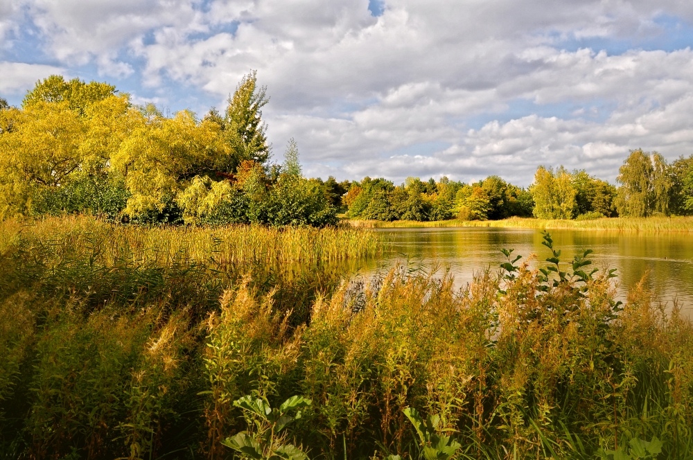 Herbst im Park......