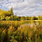 Herbst im Park......