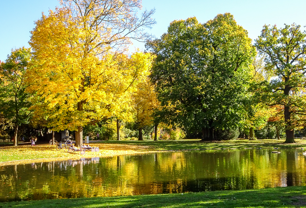 Herbst im Park