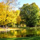 Herbst im Park