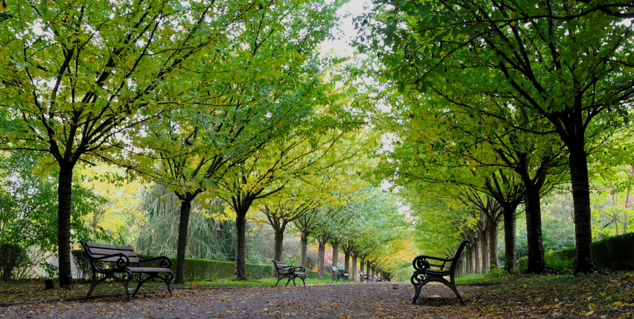 Herbst im Park