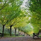 Herbst im Park