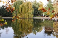 Herbst im Park