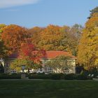 Herbst im Park