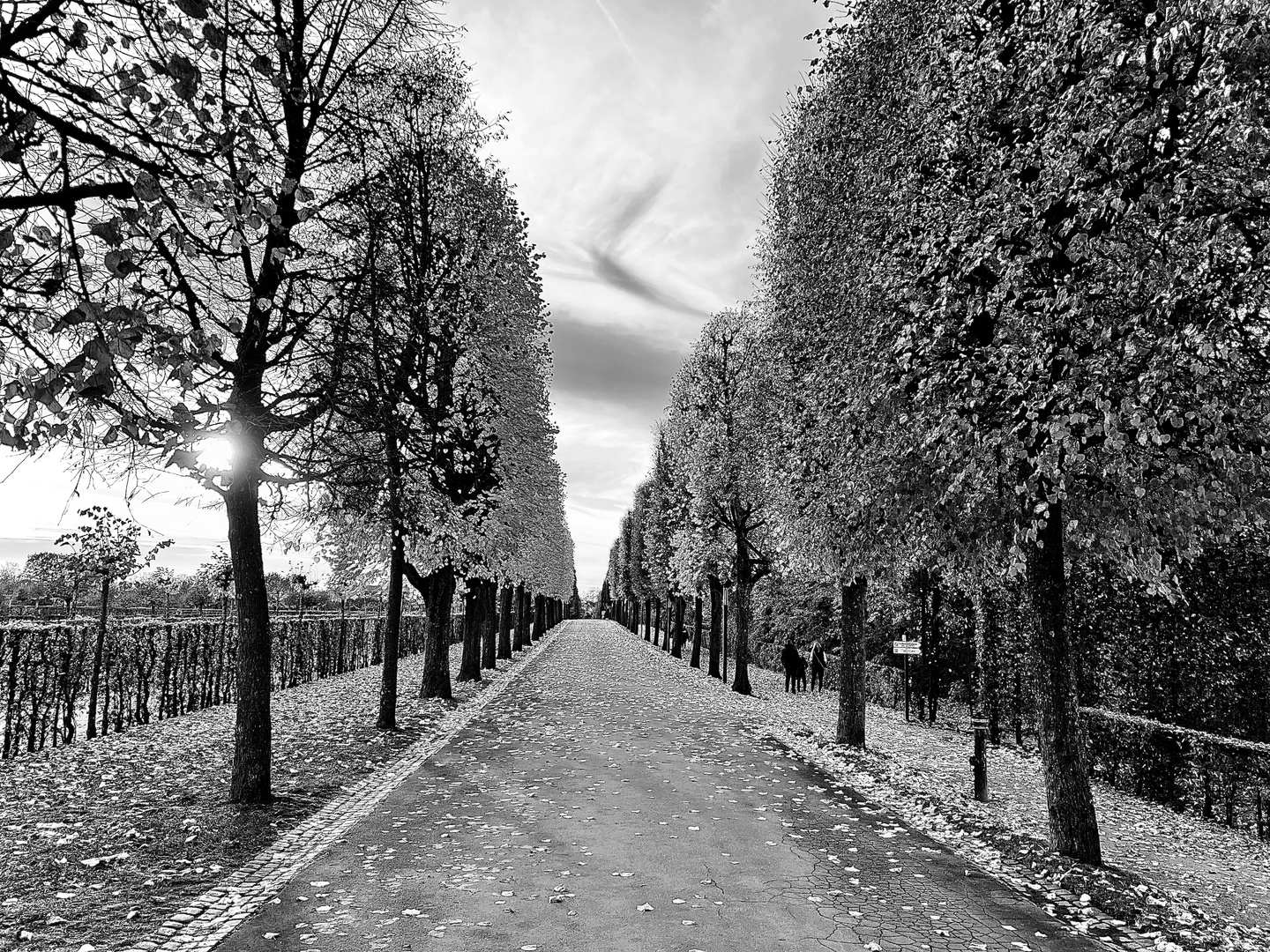 Herbst im Park