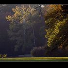 Herbst im Park