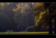 Herbst im Park