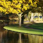 Herbst im Park