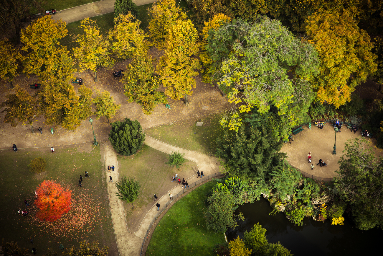 Herbst im Park 