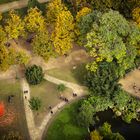 Herbst im Park 