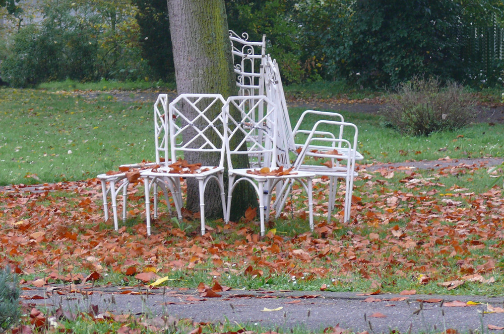 Herbst im Park