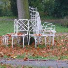 Herbst im Park