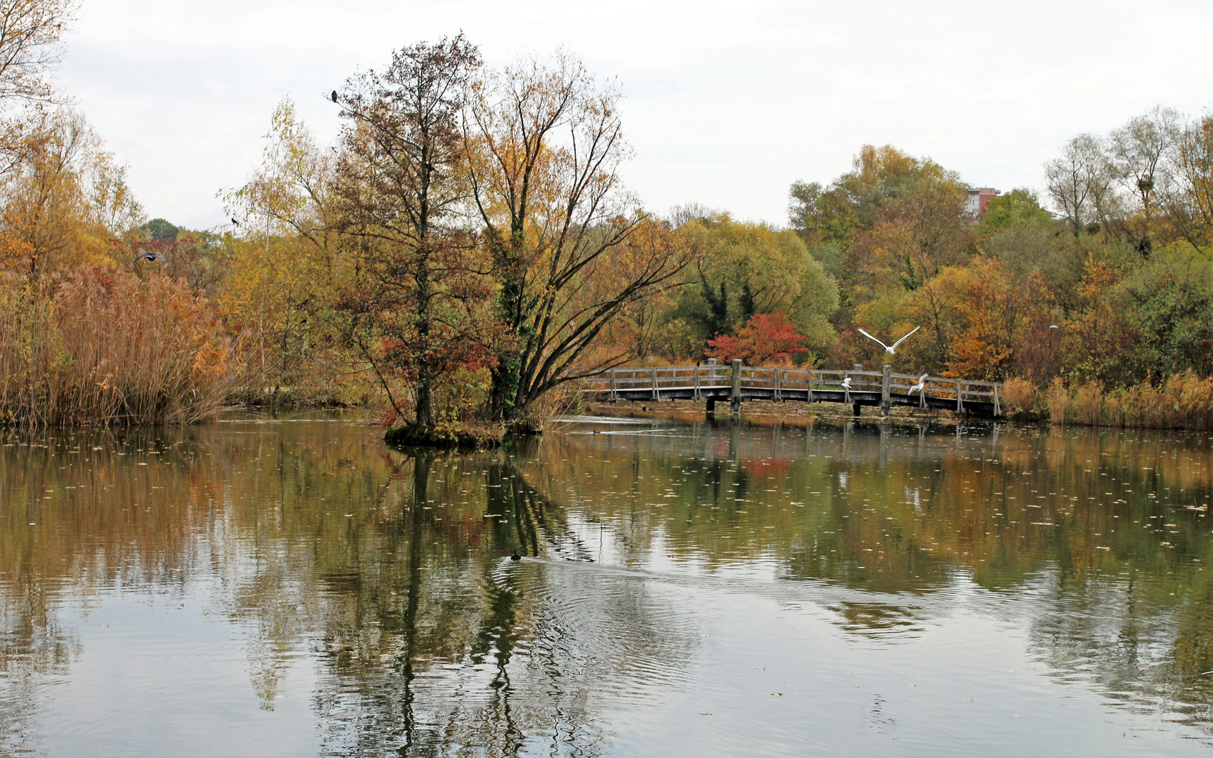 Herbst im Park