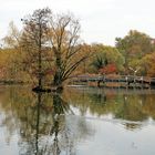 Herbst im Park