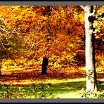 Herbst im Park