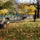 Herbst im Park