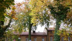 Herbst im Park