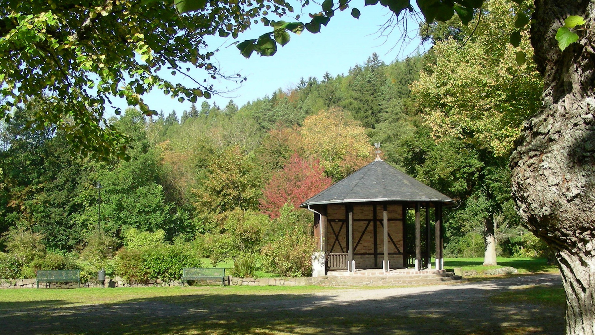 Herbst im Park