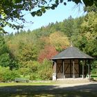 Herbst im Park