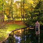 Herbst im Park