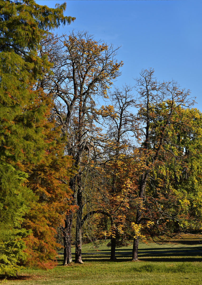 Herbst im Park