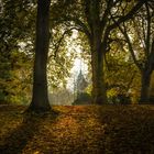 Herbst im Park am Inselwall