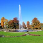 Herbst im Park 