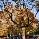 Herbst im Park