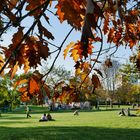 Herbst im Park