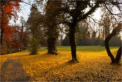 Herbst im Park