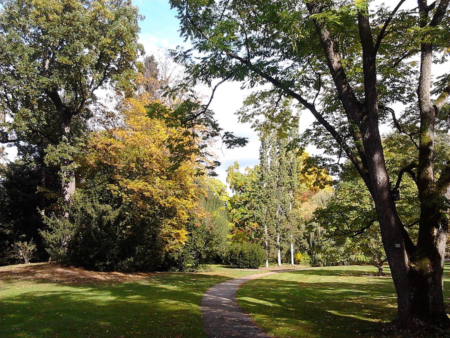 Herbst im Park