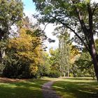 Herbst im Park