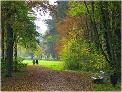 Herbst im Park