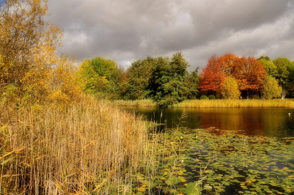 Herbst im Park......