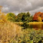 Herbst im Park......