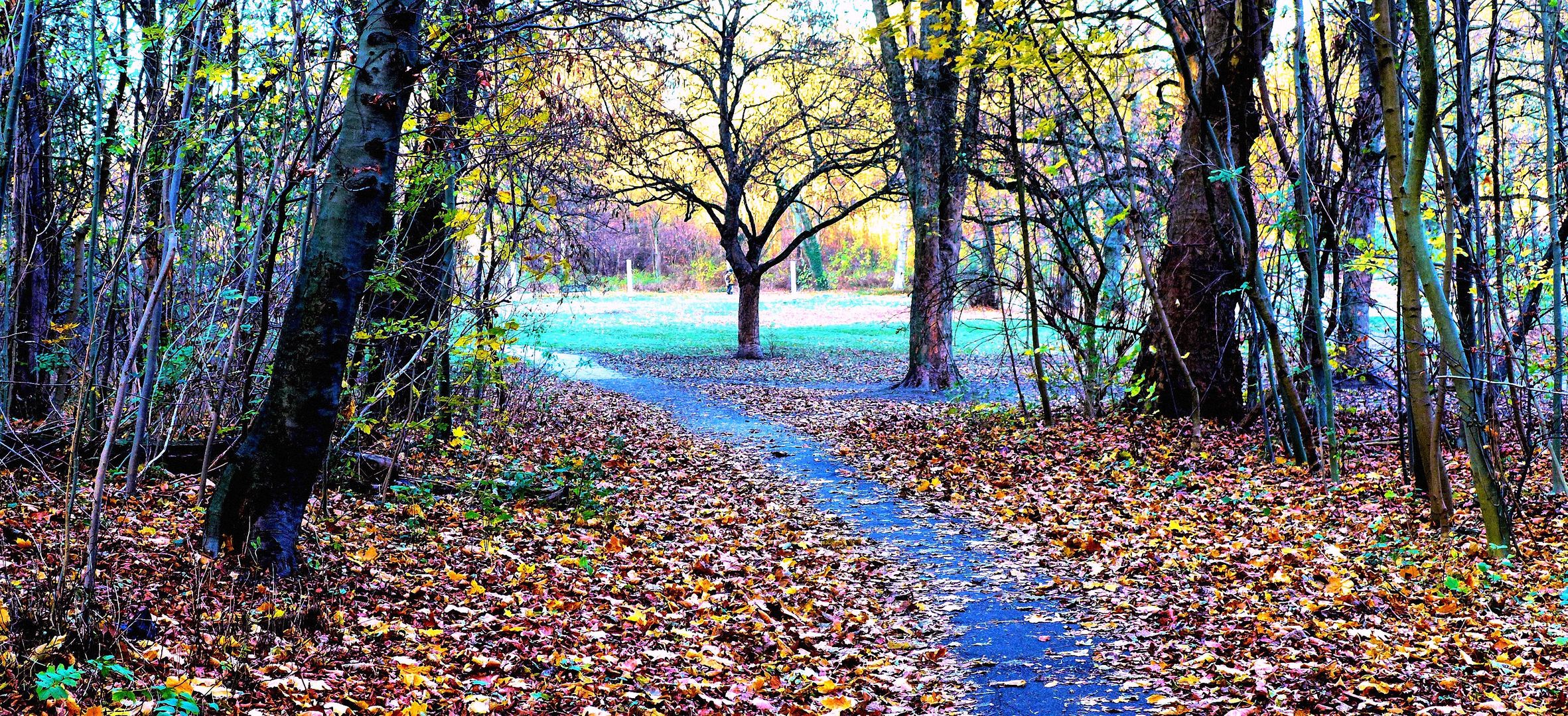 Herbst im Park 