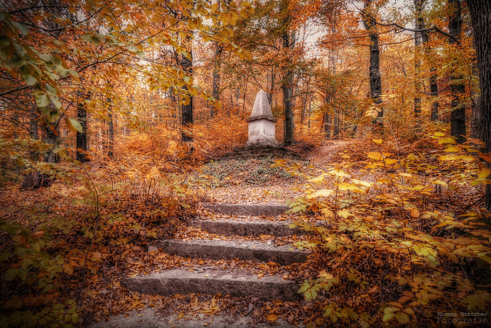 Herbst im Park