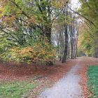 Herbst im Park