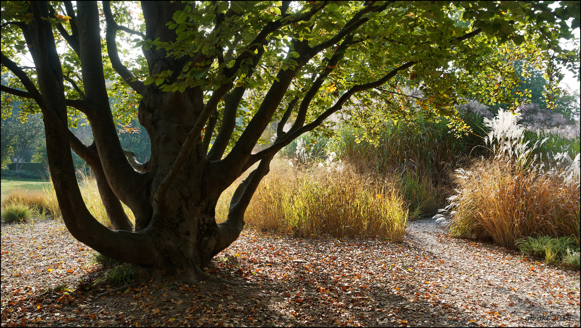 Herbst im Park 