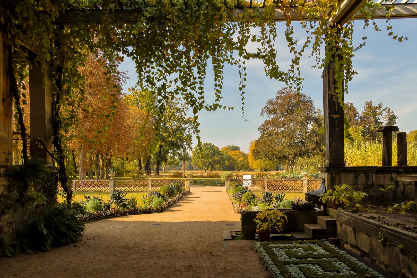 Herbst im Park