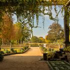 Herbst im Park