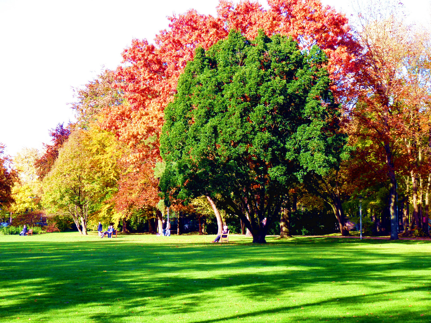 Herbst im Park