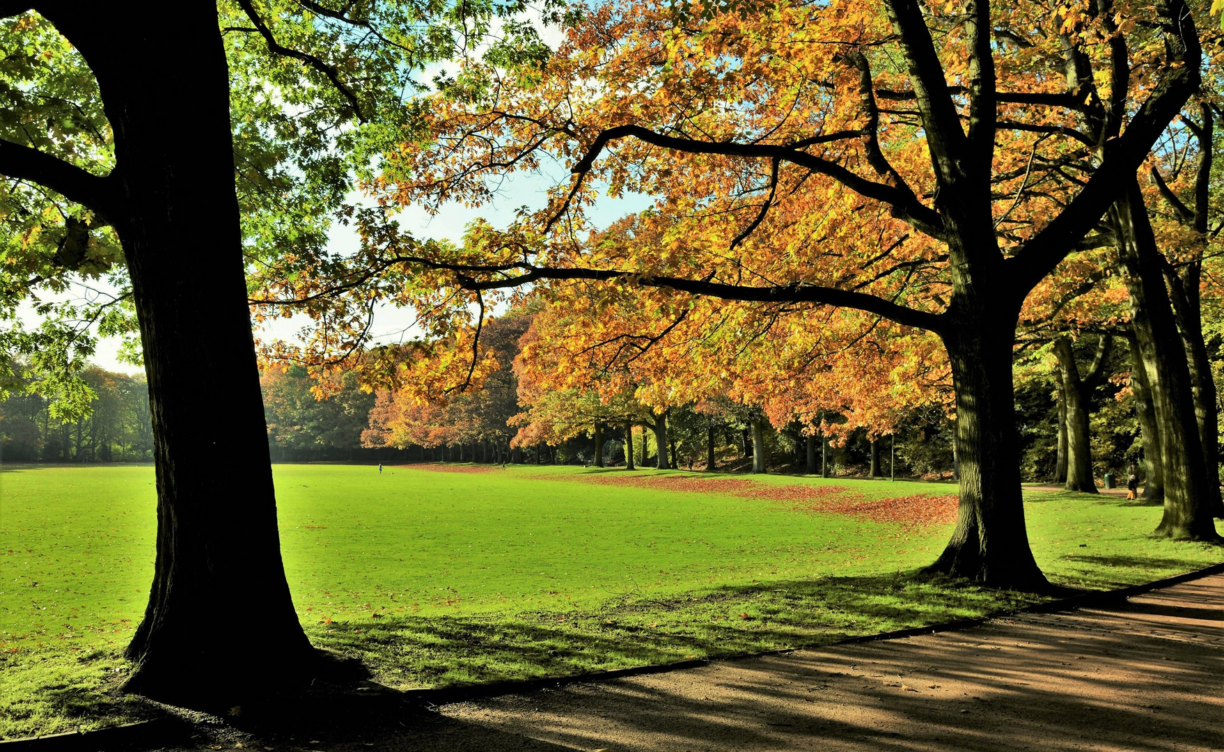 Herbst im Park