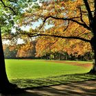 Herbst im Park