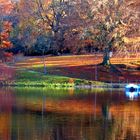 Herbst im Park...