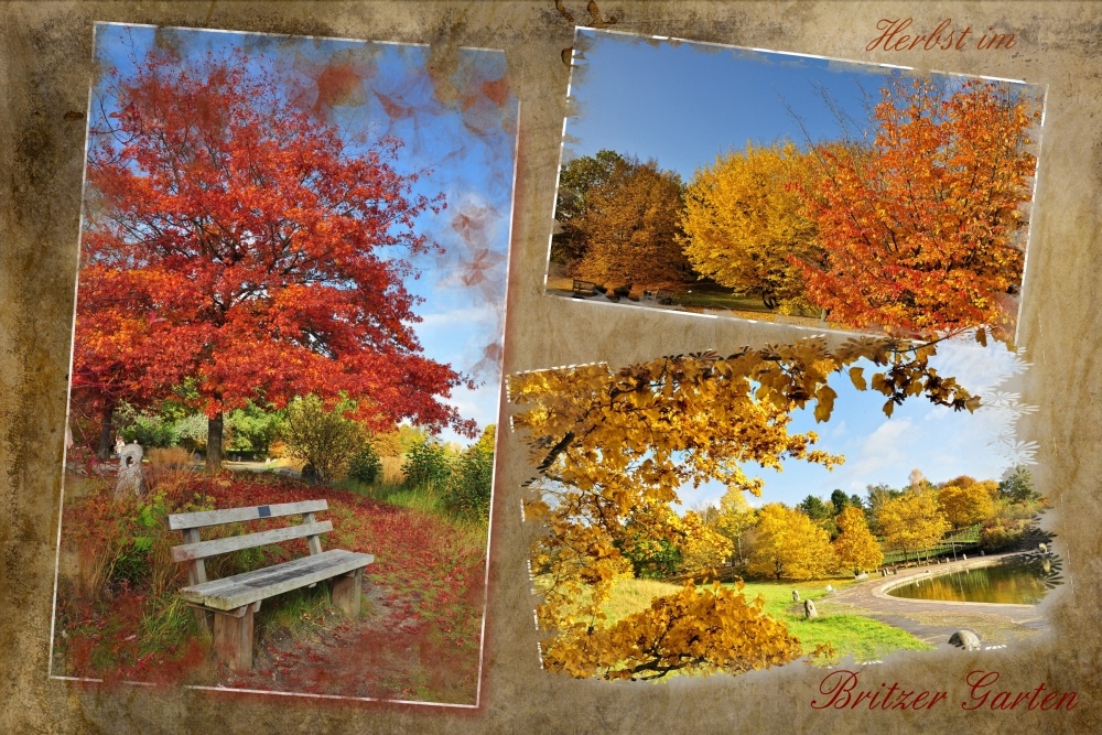 Herbst im Park...... (Collage)