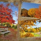 Herbst im Park...... (Collage)