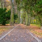 Herbst im Park