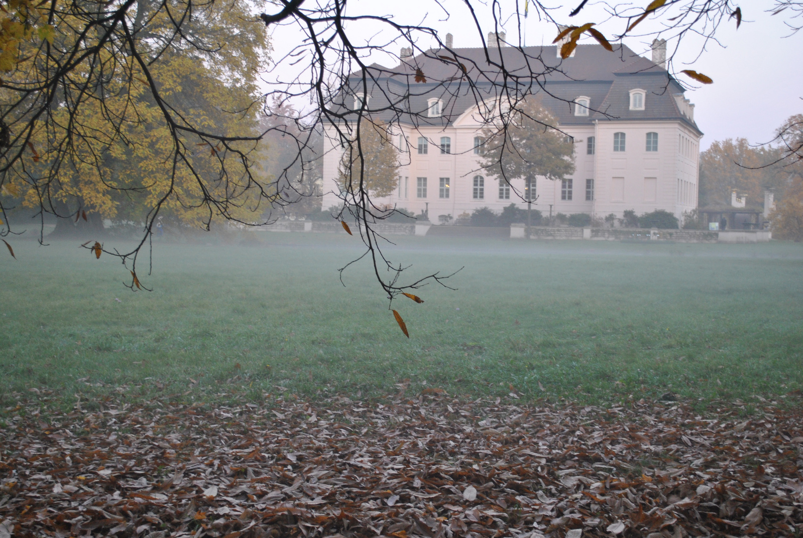 herbst im park