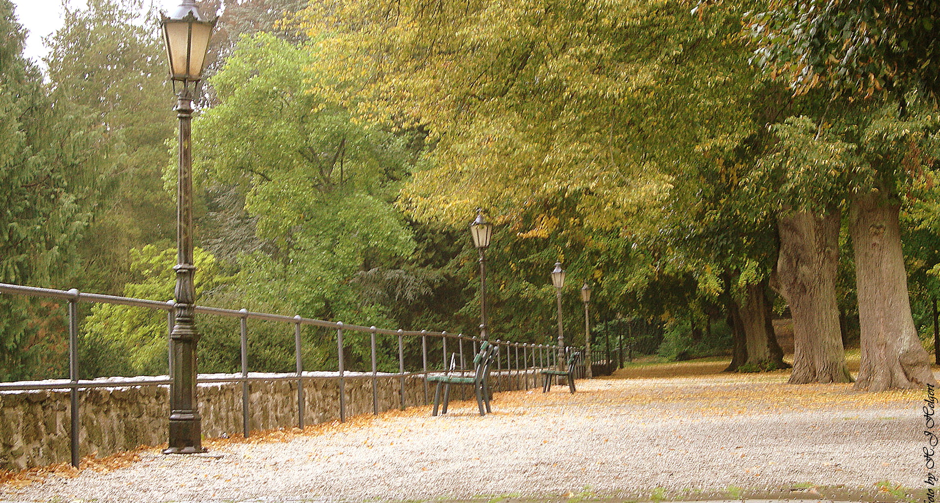 Herbst im Park